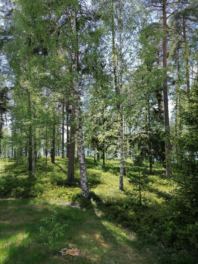 Bed and Breakfast Birgittagarden - Gaesthem - Birgittasystrarna Falun Zewnętrze zdjęcie